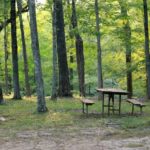 augusta-ruritan-club-woods